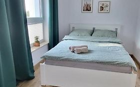 Apartament 6